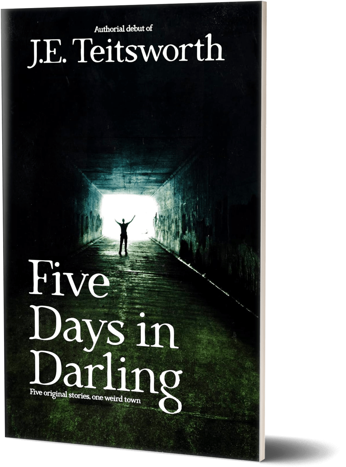 Five Days in Darling (Misprinted Cover Signed Paperback)