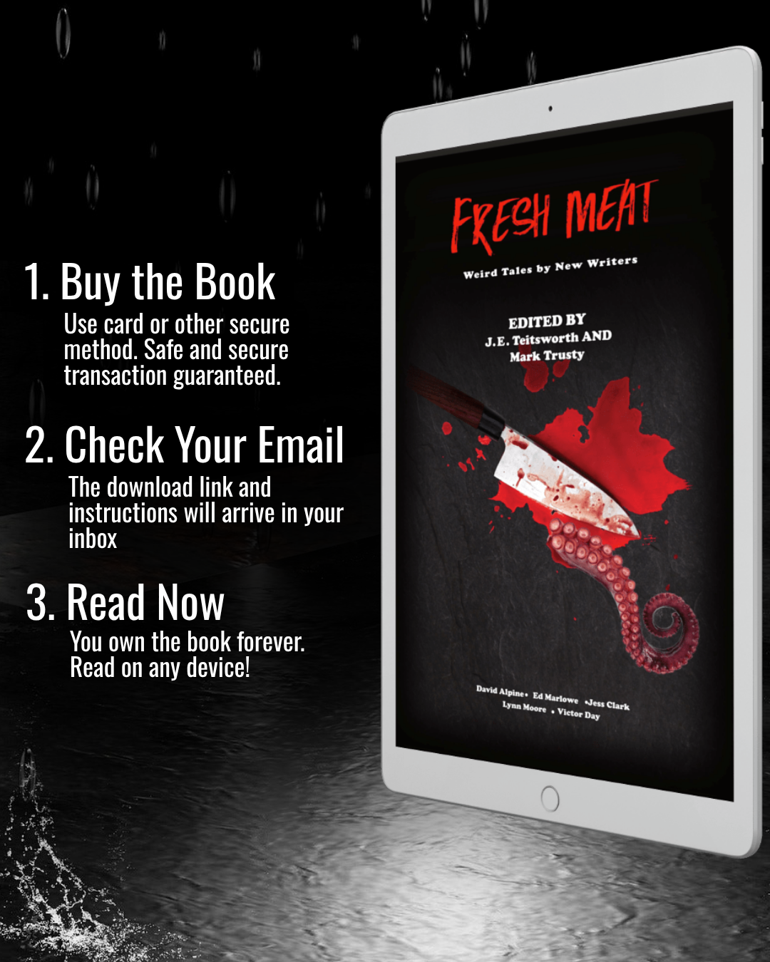 Promotional graphic for a book titled "Fresh Meat" shown on a white tablet against a dark rainy background, with three bullet points on the left describing purchase, email check, and instant reading.