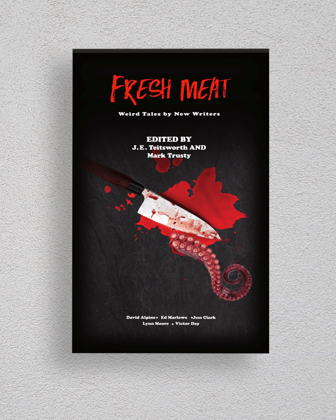 A book cover titled "Fresh Meat" displayed against a light gray textured wall. The cover is predominantly black with a large red knife and red blood-splatter illustration, plus white subtitle and editor text.