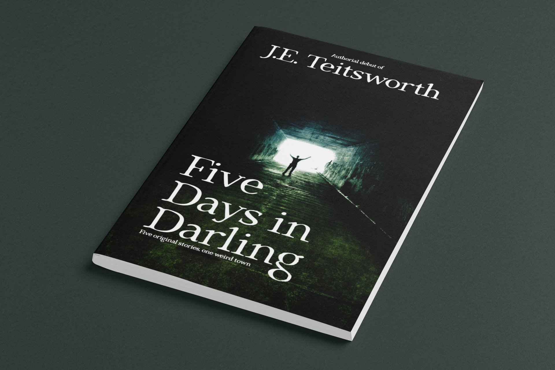 Paperback book cover for the short story collection 'Five Days in Darling' by author J.E. Teitsworth on a dark background
